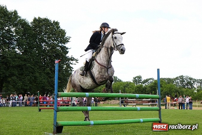 Zdjęcie w galerii na portalu naszraciborz.pl: Potęga skoku, czyli Międzynarodowe Zawody Konne w skokach przez przeszkody wiadomości z regionu