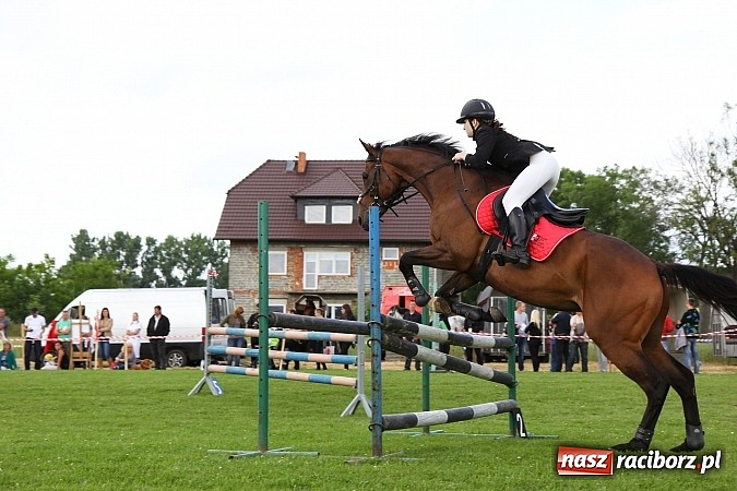 Zdjęcie w galerii na portalu naszraciborz.pl: Potęga skoku, czyli Międzynarodowe Zawody Konne w skokach przez przeszkody wiadomości z regionu