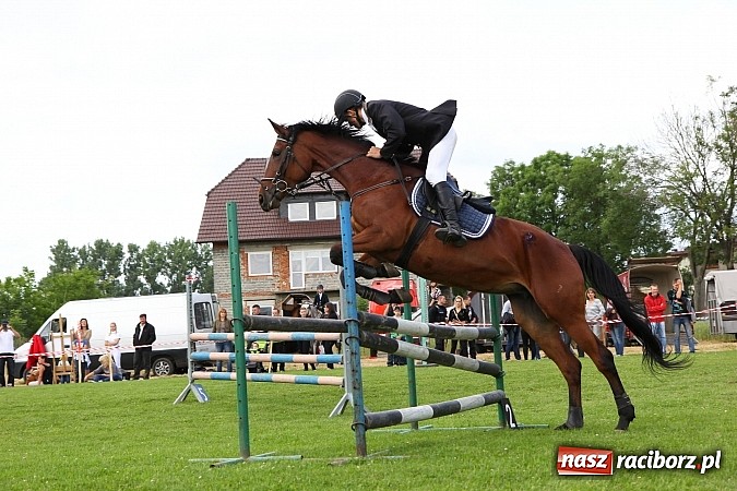 Zdjęcie w galerii na portalu naszraciborz.pl: Potęga skoku, czyli Międzynarodowe Zawody Konne w skokach przez przeszkody wiadomości z regionu