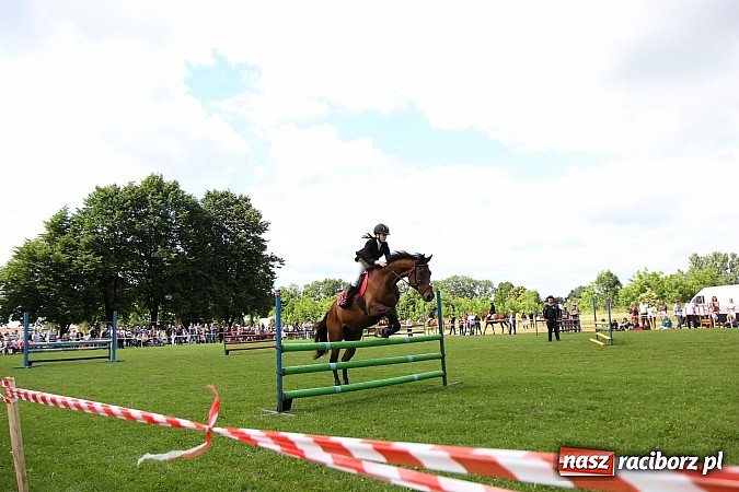 Zdjęcie w galerii na portalu naszraciborz.pl: Potęga skoku, czyli Międzynarodowe Zawody Konne w skokach przez przeszkody wiadomości z regionu