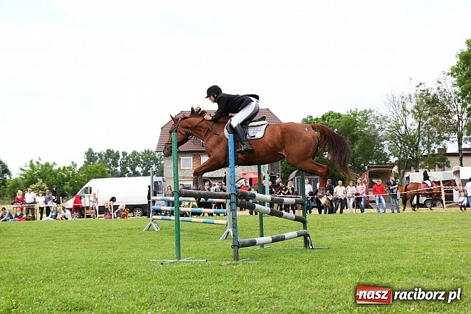 Zdjęcie w galerii na portalu naszraciborz.pl: Potęga skoku, czyli Międzynarodowe Zawody Konne w skokach przez przeszkody wiadomości z regionu