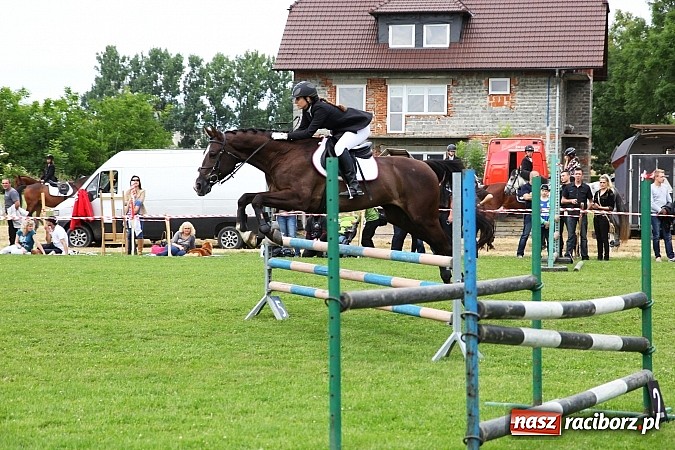 Zdjęcie w galerii na portalu naszraciborz.pl: Potęga skoku, czyli Międzynarodowe Zawody Konne w skokach przez przeszkody wiadomości z regionu