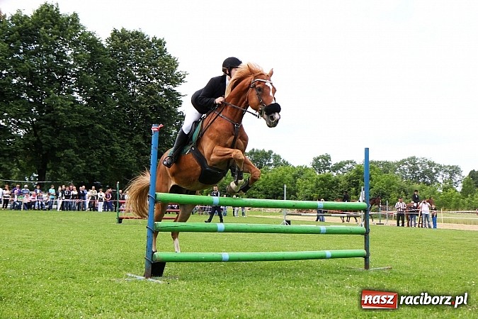 Zdjęcie w galerii na portalu naszraciborz.pl: Potęga skoku, czyli Międzynarodowe Zawody Konne w skokach przez przeszkody wiadomości z regionu