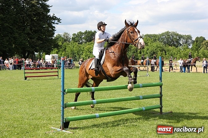 Zdjęcie w galerii na portalu naszraciborz.pl: Potęga skoku, czyli Międzynarodowe Zawody Konne w skokach przez przeszkody wiadomości z regionu