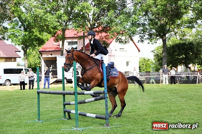 Zdjęcie w galerii na portalu naszraciborz.pl: Potęga skoku, czyli Międzynarodowe Zawody Konne w skokach przez przeszkody wiadomości z regionu