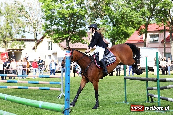 Zdjęcie w galerii na portalu naszraciborz.pl: Potęga skoku, czyli Międzynarodowe Zawody Konne w skokach przez przeszkody wiadomości z regionu