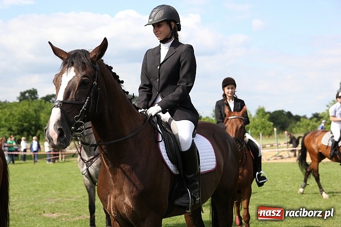 Zdjęcie w galerii na portalu naszraciborz.pl: Potęga skoku, czyli Międzynarodowe Zawody Konne w skokach przez przeszkody wiadomości z regionu