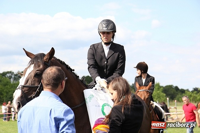 Zdjęcie w galerii na portalu naszraciborz.pl: Potęga skoku, czyli Międzynarodowe Zawody Konne w skokach przez przeszkody wiadomości z regionu