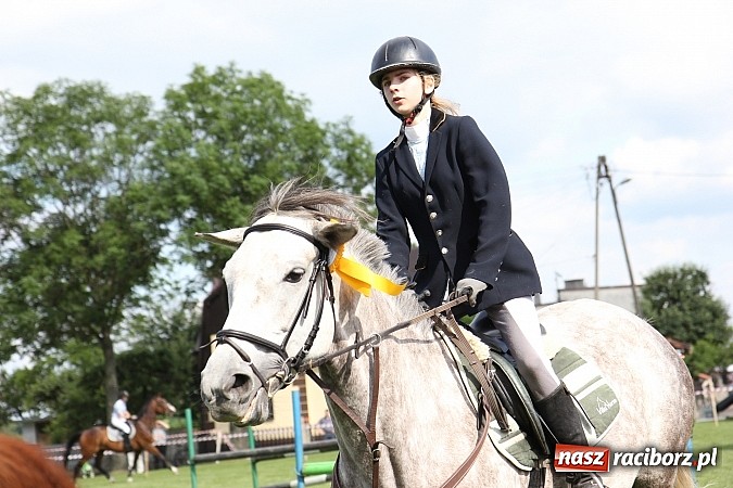 Zdjęcie w galerii na portalu naszraciborz.pl: Potęga skoku, czyli Międzynarodowe Zawody Konne w skokach przez przeszkody wiadomości z regionu