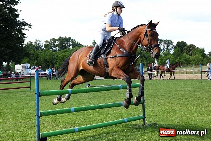 Zdjęcie w galerii na portalu naszraciborz.pl: Potęga skoku, czyli Międzynarodowe Zawody Konne w skokach przez przeszkody wiadomości z regionu