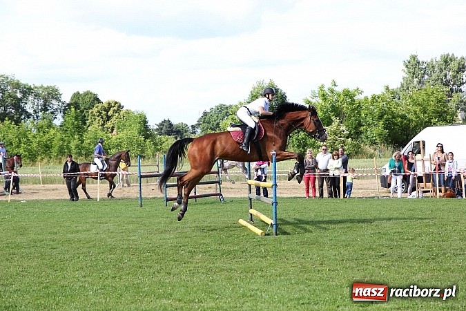 Zdjęcie w galerii na portalu naszraciborz.pl: Potęga skoku, czyli Międzynarodowe Zawody Konne w skokach przez przeszkody wiadomości z regionu