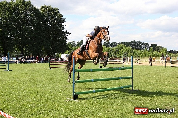 Zdjęcie w galerii na portalu naszraciborz.pl: Potęga skoku, czyli Międzynarodowe Zawody Konne w skokach przez przeszkody wiadomości z regionu
