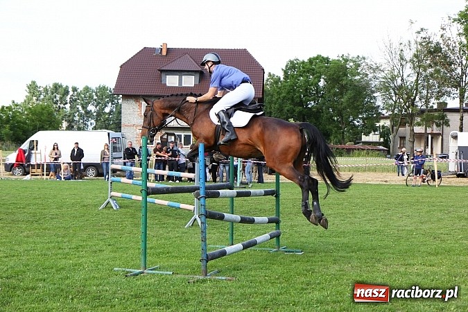 Zdjęcie w galerii na portalu naszraciborz.pl: Potęga skoku, czyli Międzynarodowe Zawody Konne w skokach przez przeszkody wiadomości z regionu