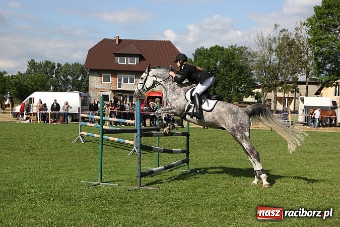 Zdjęcie w galerii na portalu naszraciborz.pl: Potęga skoku, czyli Międzynarodowe Zawody Konne w skokach przez przeszkody wiadomości z regionu