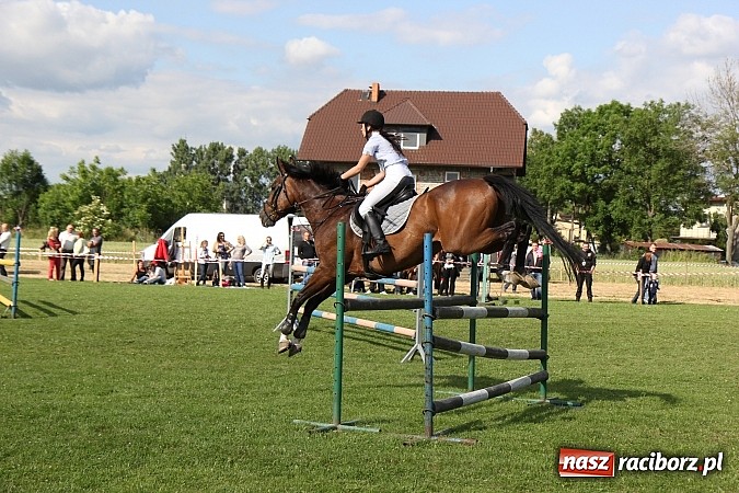 Zdjęcie w galerii na portalu naszraciborz.pl: Potęga skoku, czyli Międzynarodowe Zawody Konne w skokach przez przeszkody wiadomości z regionu