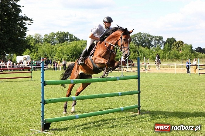 Zdjęcie w galerii na portalu naszraciborz.pl: Potęga skoku, czyli Międzynarodowe Zawody Konne w skokach przez przeszkody wiadomości z regionu