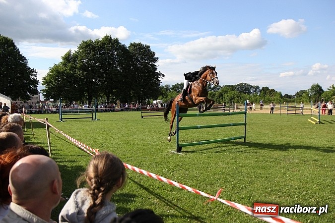 Zdjęcie w galerii na portalu naszraciborz.pl: Potęga skoku, czyli Międzynarodowe Zawody Konne w skokach przez przeszkody wiadomości z regionu