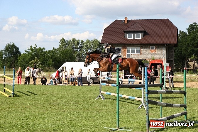 Zdjęcie w galerii na portalu naszraciborz.pl: Potęga skoku, czyli Międzynarodowe Zawody Konne w skokach przez przeszkody wiadomości z regionu