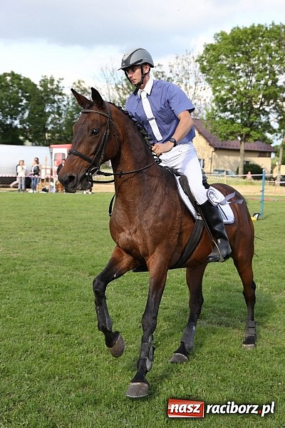 Zdjęcie w galerii na portalu naszraciborz.pl: Potęga skoku, czyli Międzynarodowe Zawody Konne w skokach przez przeszkody wiadomości z regionu