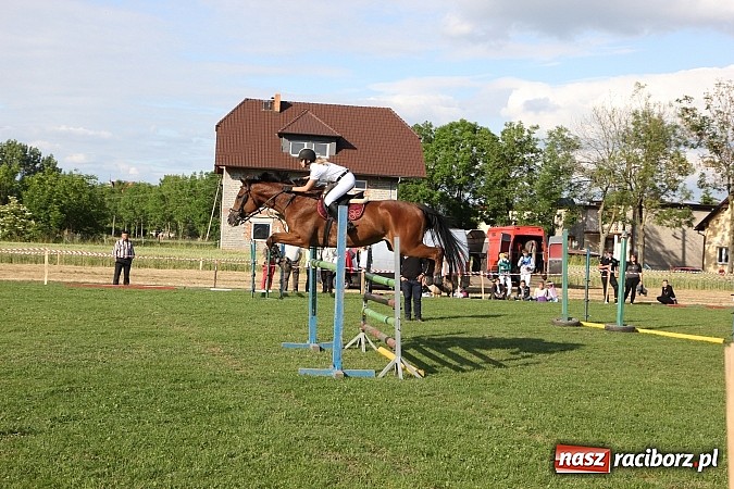 Zdjęcie w galerii na portalu naszraciborz.pl: Potęga skoku, czyli Międzynarodowe Zawody Konne w skokach przez przeszkody wiadomości z regionu
