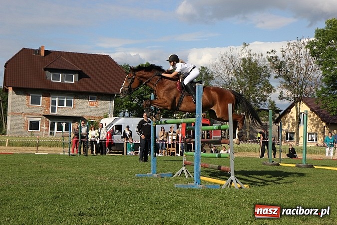 Zdjęcie w galerii na portalu naszraciborz.pl: Potęga skoku, czyli Międzynarodowe Zawody Konne w skokach przez przeszkody wiadomości z regionu