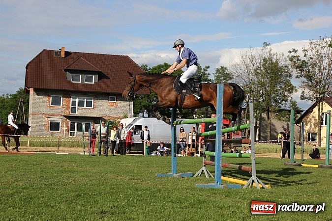 Zdjęcie w galerii na portalu naszraciborz.pl: Potęga skoku, czyli Międzynarodowe Zawody Konne w skokach przez przeszkody wiadomości z regionu