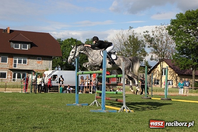 Zdjęcie w galerii na portalu naszraciborz.pl: Potęga skoku, czyli Międzynarodowe Zawody Konne w skokach przez przeszkody wiadomości z regionu