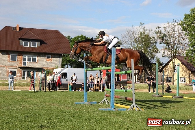 Zdjęcie w galerii na portalu naszraciborz.pl: Potęga skoku, czyli Międzynarodowe Zawody Konne w skokach przez przeszkody wiadomości z regionu