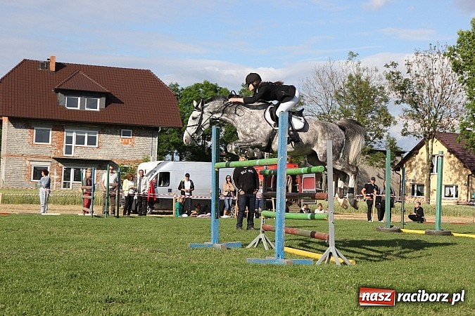 Zdjęcie w galerii na portalu naszraciborz.pl: Potęga skoku, czyli Międzynarodowe Zawody Konne w skokach przez przeszkody wiadomości z regionu