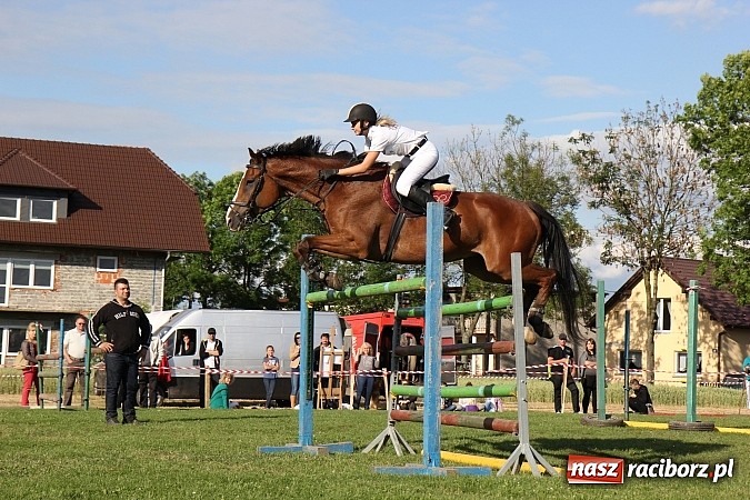 Zdjęcie w galerii na portalu naszraciborz.pl: Potęga skoku, czyli Międzynarodowe Zawody Konne w skokach przez przeszkody wiadomości z regionu