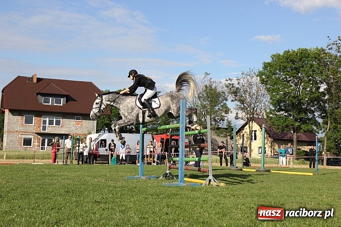 Zdjęcie w galerii na portalu naszraciborz.pl: Potęga skoku, czyli Międzynarodowe Zawody Konne w skokach przez przeszkody wiadomości z regionu