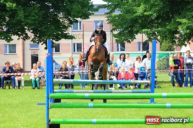 Zdjęcie w galerii na portalu naszraciborz.pl: Potęga skoku, czyli Międzynarodowe Zawody Konne w skokach przez przeszkody wiadomości z regionu