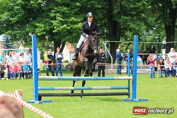 Zdjęcie w galerii na portalu naszraciborz.pl: Potęga skoku, czyli Międzynarodowe Zawody Konne w skokach przez przeszkody wiadomości z regionu