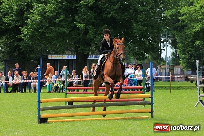 Zdjęcie w galerii na portalu naszraciborz.pl: Potęga skoku, czyli Międzynarodowe Zawody Konne w skokach przez przeszkody wiadomości z regionu