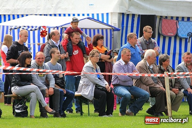 Zdjęcie w galerii na portalu naszraciborz.pl: Potęga skoku, czyli Międzynarodowe Zawody Konne w skokach przez przeszkody wiadomości z regionu