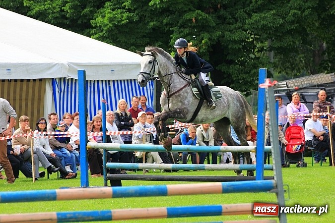Zdjęcie w galerii na portalu naszraciborz.pl: Potęga skoku, czyli Międzynarodowe Zawody Konne w skokach przez przeszkody wiadomości z regionu