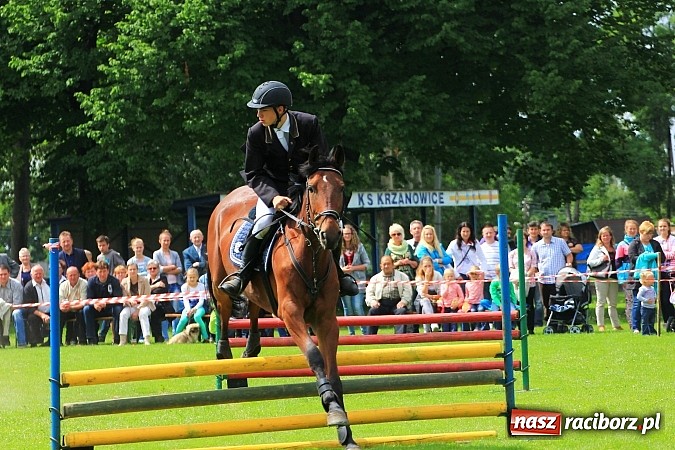 Zdjęcie w galerii na portalu naszraciborz.pl: Potęga skoku, czyli Międzynarodowe Zawody Konne w skokach przez przeszkody wiadomości z regionu