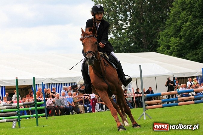 Zdjęcie w galerii na portalu naszraciborz.pl: Potęga skoku, czyli Międzynarodowe Zawody Konne w skokach przez przeszkody wiadomości z regionu