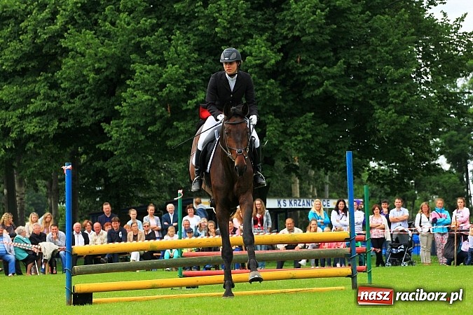 Zdjęcie w galerii na portalu naszraciborz.pl: Potęga skoku, czyli Międzynarodowe Zawody Konne w skokach przez przeszkody wiadomości z regionu