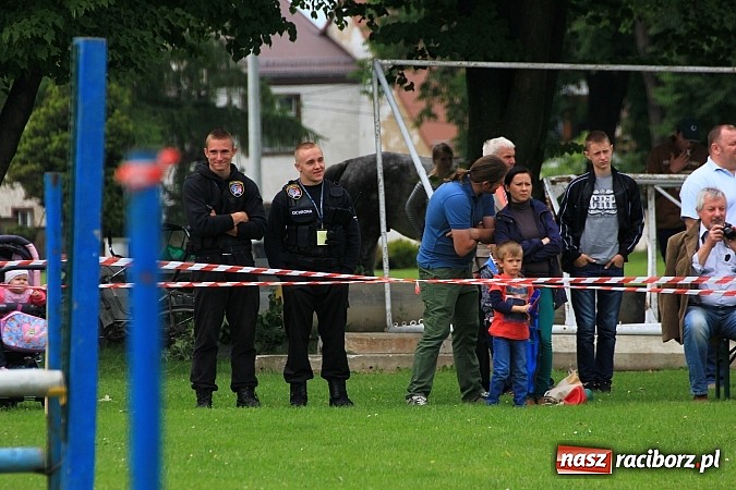 Zdjęcie w galerii na portalu naszraciborz.pl: Potęga skoku, czyli Międzynarodowe Zawody Konne w skokach przez przeszkody wiadomości z regionu