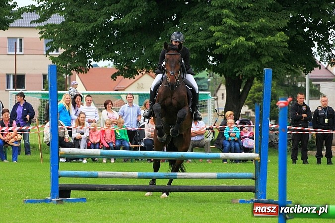 Zdjęcie w galerii na portalu naszraciborz.pl: Potęga skoku, czyli Międzynarodowe Zawody Konne w skokach przez przeszkody wiadomości z regionu