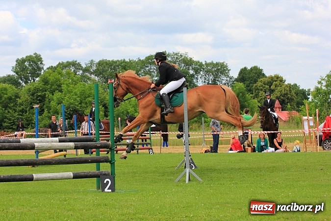 Zdjęcie w galerii na portalu naszraciborz.pl: Potęga skoku, czyli Międzynarodowe Zawody Konne w skokach przez przeszkody wiadomości z regionu