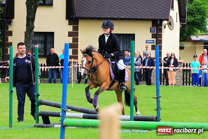 Zdjęcie w galerii na portalu naszraciborz.pl: Potęga skoku, czyli Międzynarodowe Zawody Konne w skokach przez przeszkody wiadomości z regionu