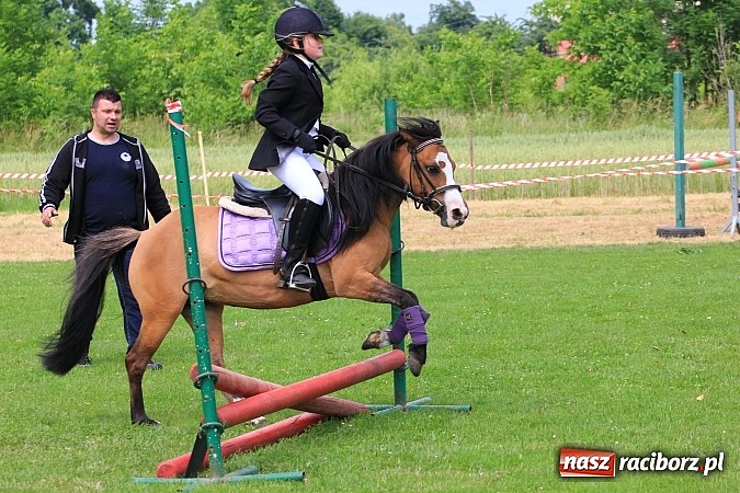 Zdjęcie w galerii na portalu naszraciborz.pl: Potęga skoku, czyli Międzynarodowe Zawody Konne w skokach przez przeszkody wiadomości z regionu