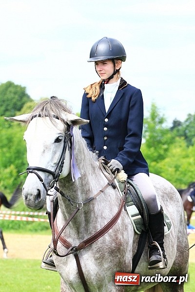 Zdjęcie w galerii na portalu naszraciborz.pl: Potęga skoku, czyli Międzynarodowe Zawody Konne w skokach przez przeszkody wiadomości z regionu