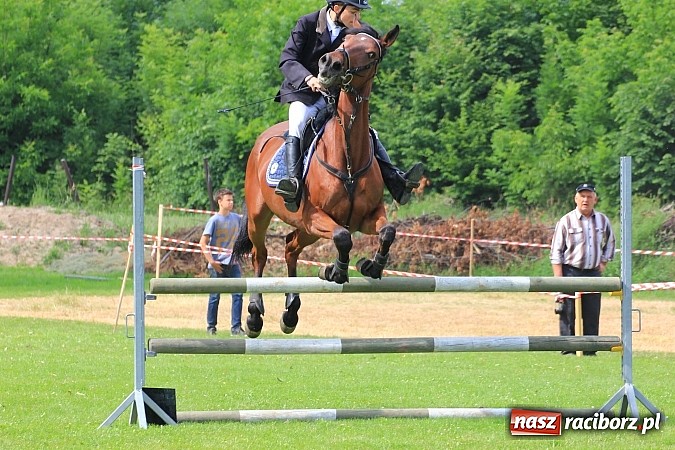 Zdjęcie w galerii na portalu naszraciborz.pl: Potęga skoku, czyli Międzynarodowe Zawody Konne w skokach przez przeszkody wiadomości z regionu