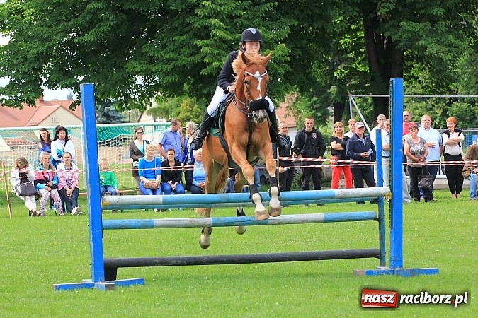 Zdjęcie w galerii na portalu naszraciborz.pl: Potęga skoku, czyli Międzynarodowe Zawody Konne w skokach przez przeszkody wiadomości z regionu