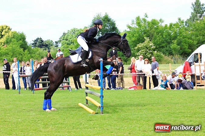 Zdjęcie w galerii na portalu naszraciborz.pl: Potęga skoku, czyli Międzynarodowe Zawody Konne w skokach przez przeszkody wiadomości z regionu