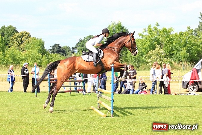 Zdjęcie w galerii na portalu naszraciborz.pl: Potęga skoku, czyli Międzynarodowe Zawody Konne w skokach przez przeszkody wiadomości z regionu
