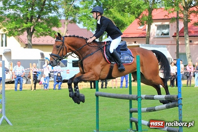 Zdjęcie w galerii na portalu naszraciborz.pl: Potęga skoku, czyli Międzynarodowe Zawody Konne w skokach przez przeszkody wiadomości z regionu